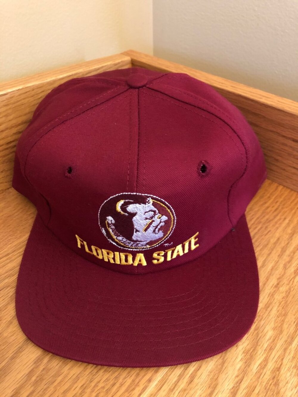 NOS Vintage Florida State Seminoles Snapback Hat Cap Twins Enterprise (c59)